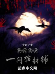 开局继承一座道馆后